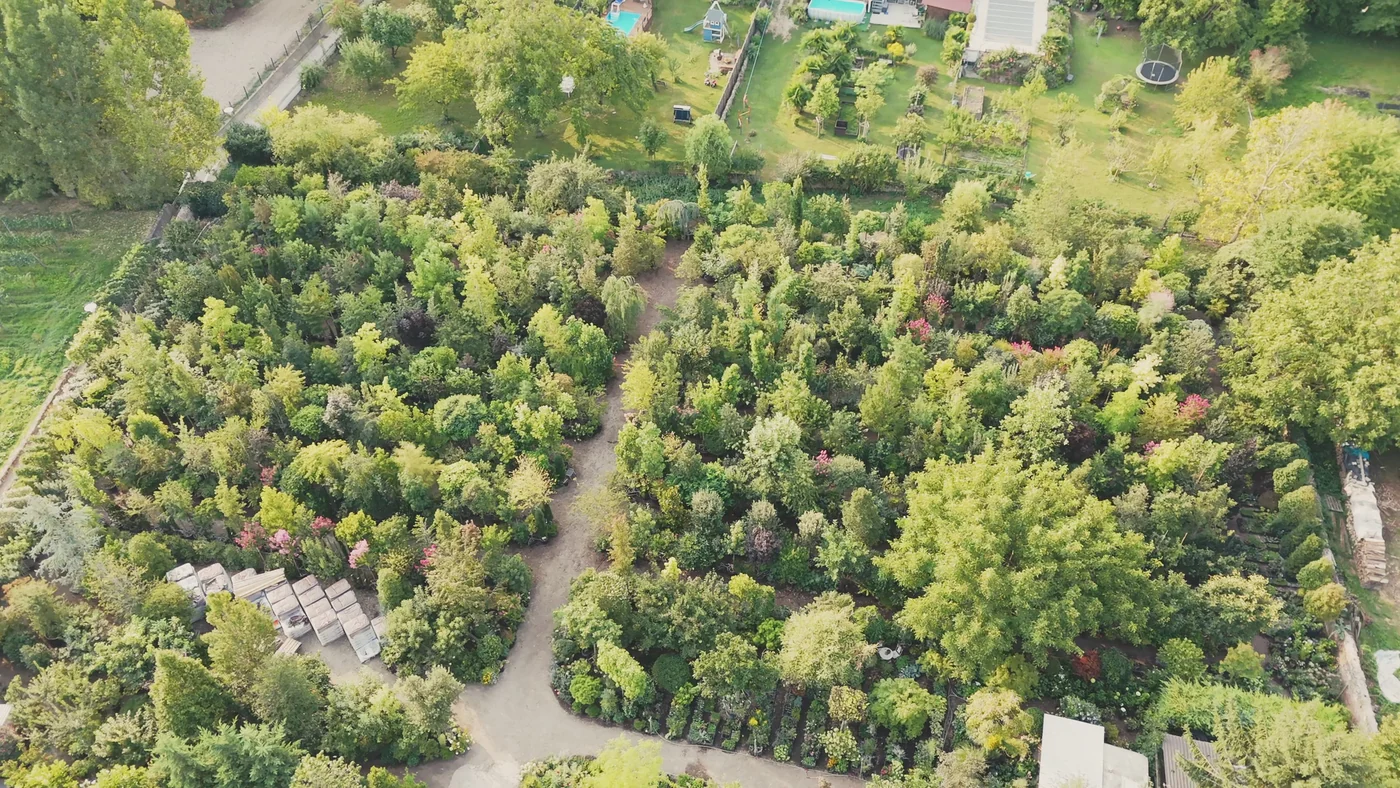 Oliveira Baumschule: Natur Trifft Mode